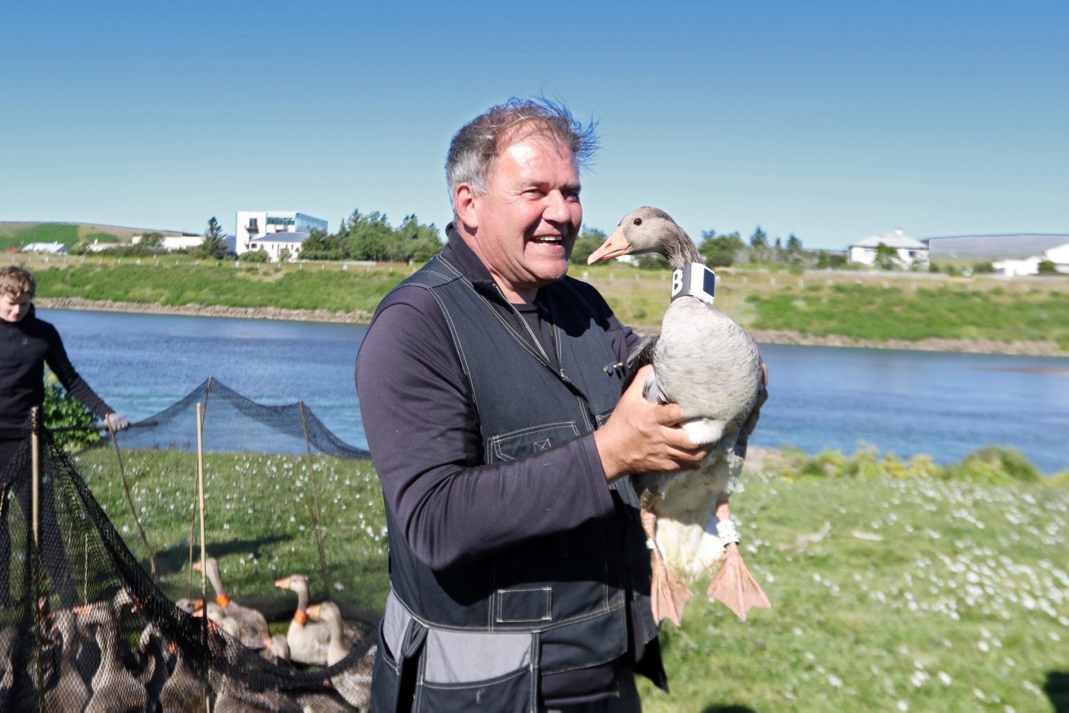 Gæsirnar hans Arnórs farnar að skila sér til landsins | www.verkis.is