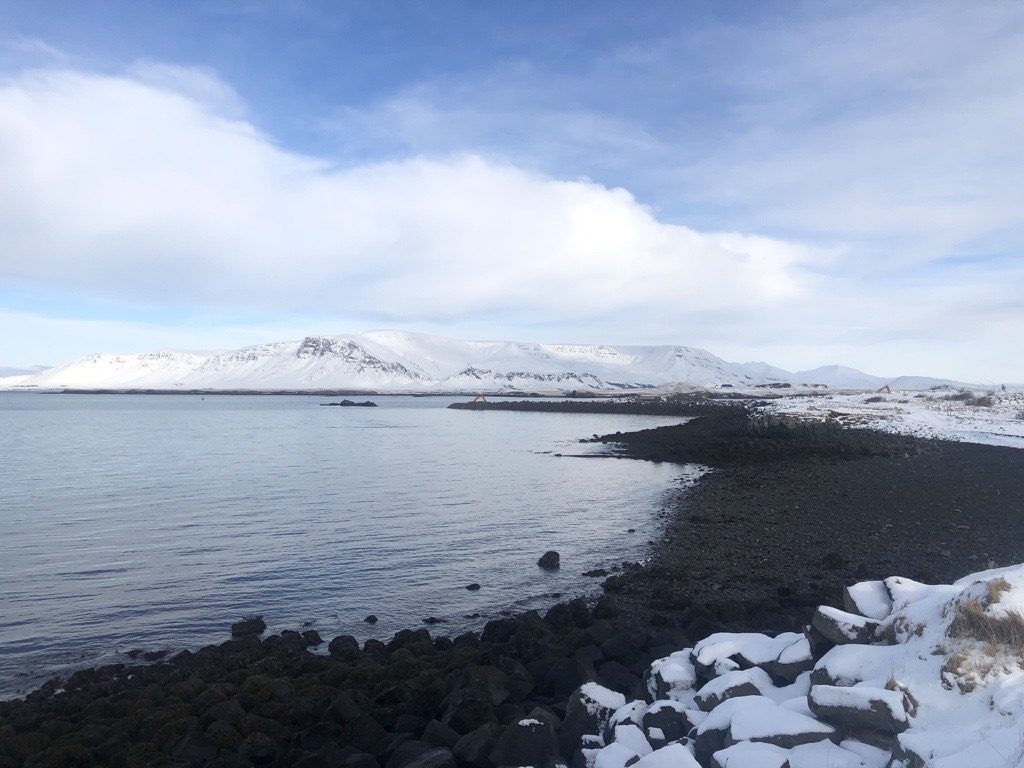 Framkvæmdir virtust ekki trufla fugla við Klettagarða