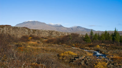 Forvarnir vegna gróðurelda